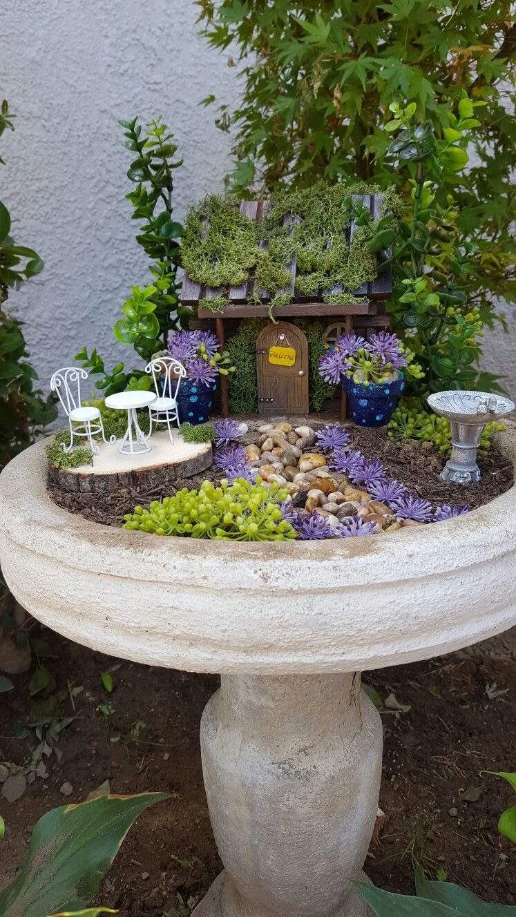 Fairy Garden Ideas